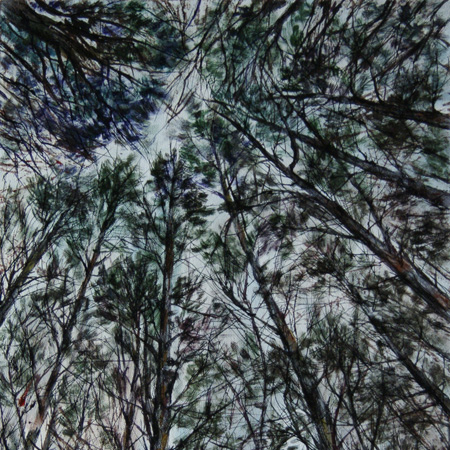 In a Pine Forest, canvas, mixed media, 50  35 cm., 2013