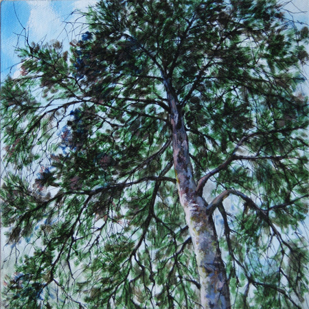 Old Pine, canvas, mixed media, 36  33 cm., 2013