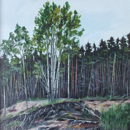 Temeryak, canvas, oil, 55,5  44 cm., 2015